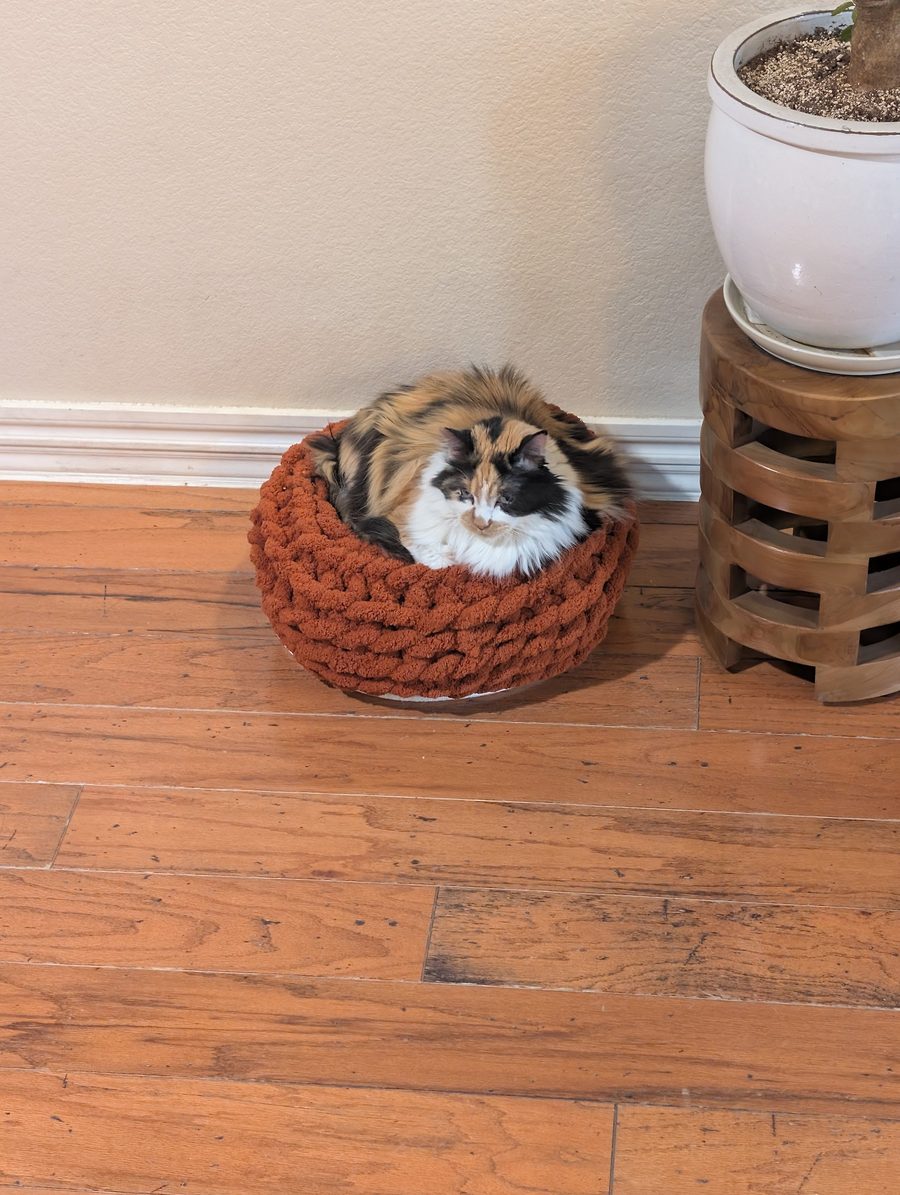 Dr Hashbrowns is curled inside a round rust-colored knitted basket on a wooden floor beside a potted plant.