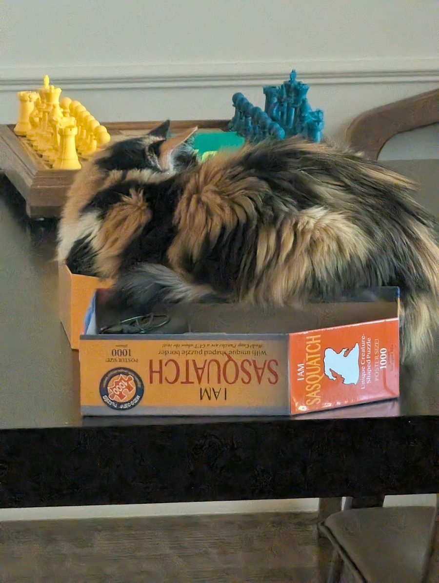 Dr Hashbrowns lies spread across an open jigsaw puzzle box on a dark table. Chess pieces stand behind her.